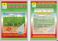 In ống đồng Túi hạt giống