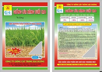 In ống đồng Túi hạt giống