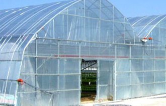 Màng Phủ Nhà Kính Nông Nghiệp