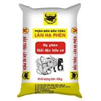 CHUYÊN IN BAO PP DỆT